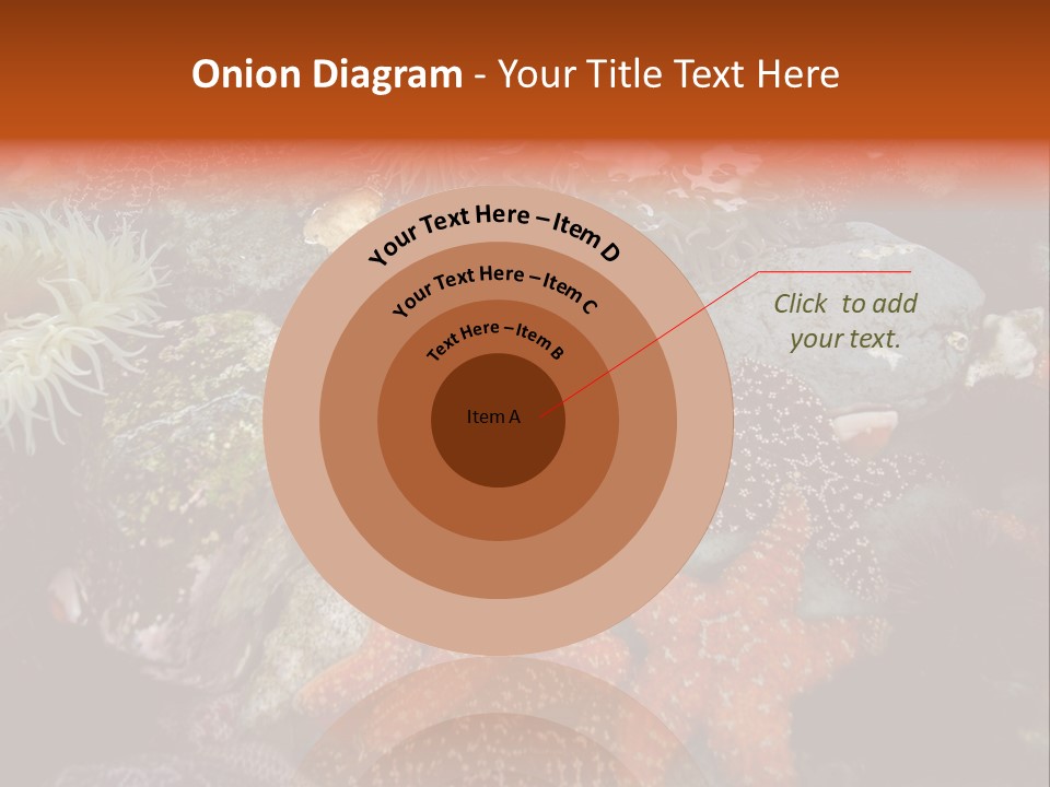 Couple Walking On Beach Arm In Arm Smiling PowerPoint Template