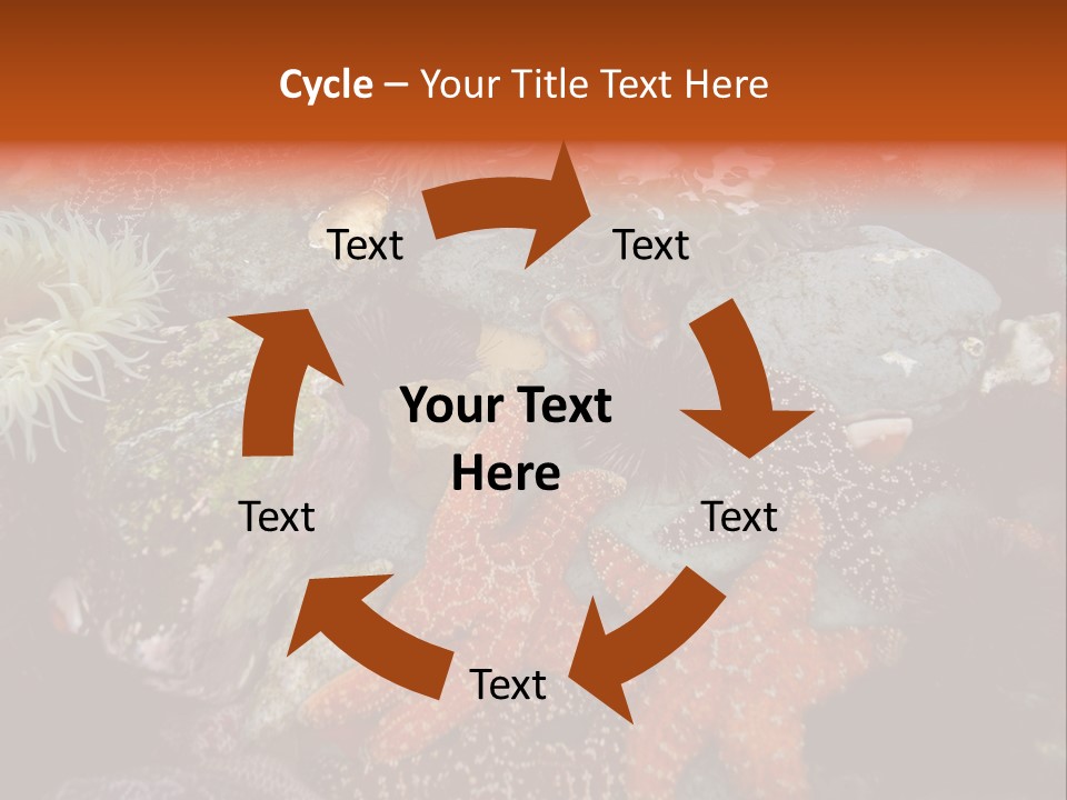 Couple Walking On Beach Arm In Arm Smiling PowerPoint Template