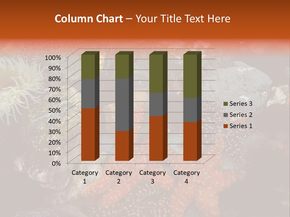 Couple Walking On Beach Arm In Arm Smiling PowerPoint Template