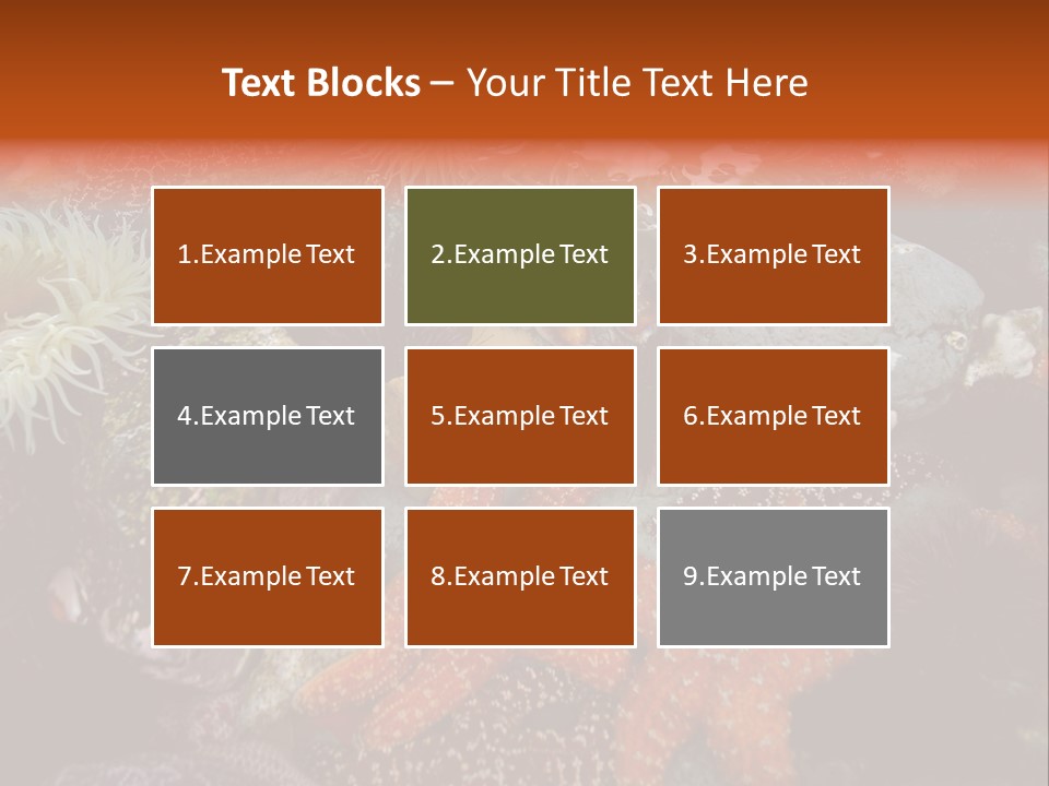 Couple Walking On Beach Arm In Arm Smiling PowerPoint Template