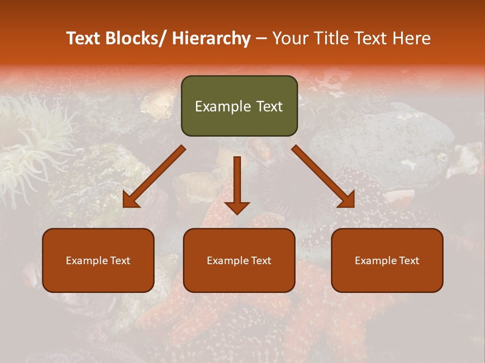 Couple Walking On Beach Arm In Arm Smiling PowerPoint Template