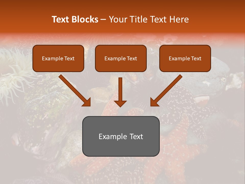 Couple Walking On Beach Arm In Arm Smiling PowerPoint Template