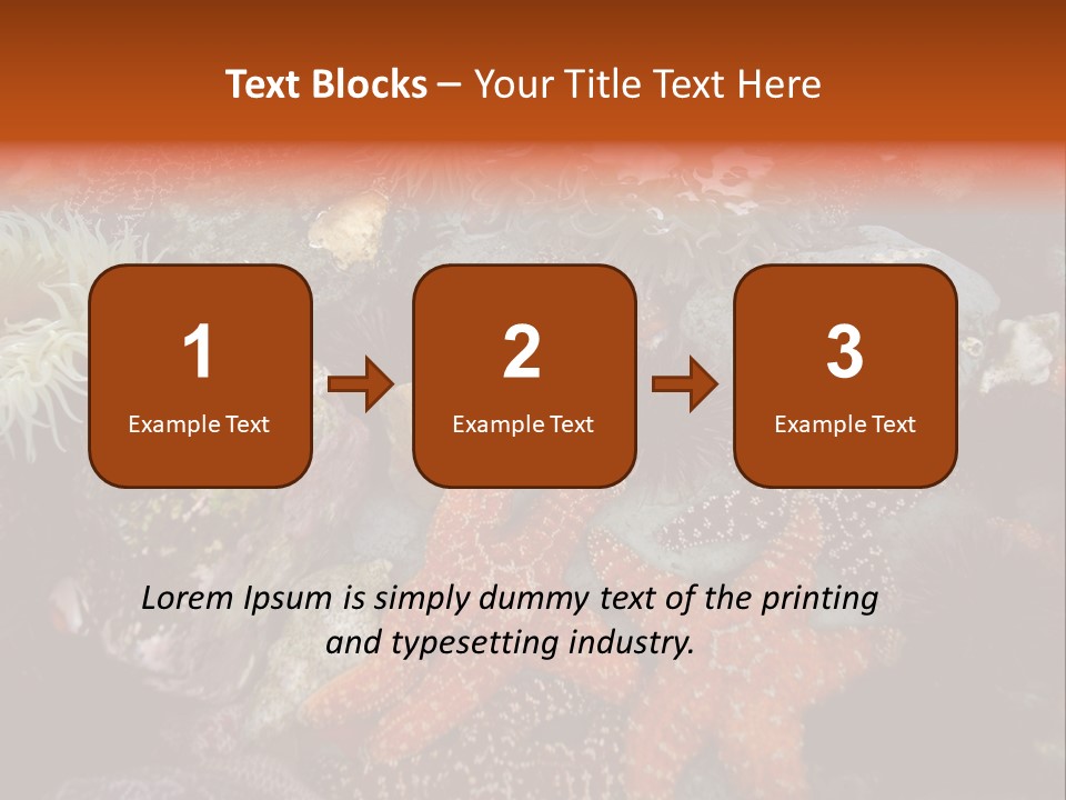 Couple Walking On Beach Arm In Arm Smiling PowerPoint Template