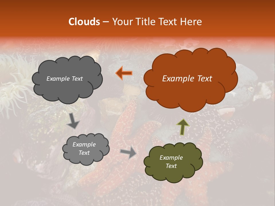 Couple Walking On Beach Arm In Arm Smiling PowerPoint Template