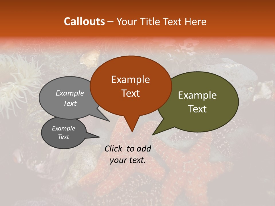 Couple Walking On Beach Arm In Arm Smiling PowerPoint Template