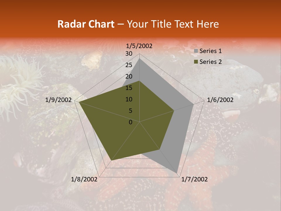 Couple Walking On Beach Arm In Arm Smiling PowerPoint Template