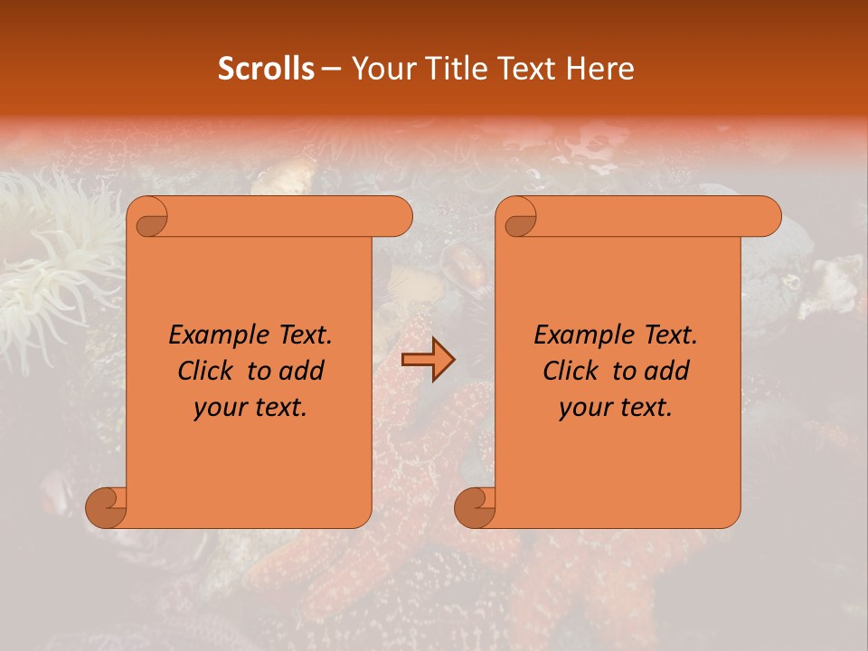 Couple Walking On Beach Arm In Arm Smiling PowerPoint Template