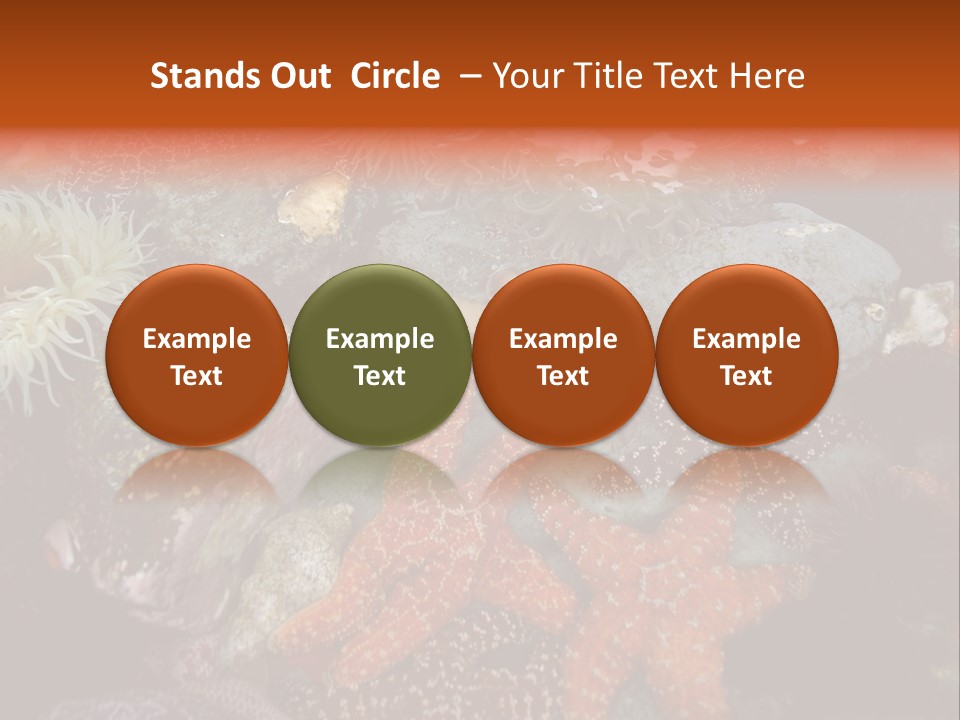 Couple Walking On Beach Arm In Arm Smiling PowerPoint Template