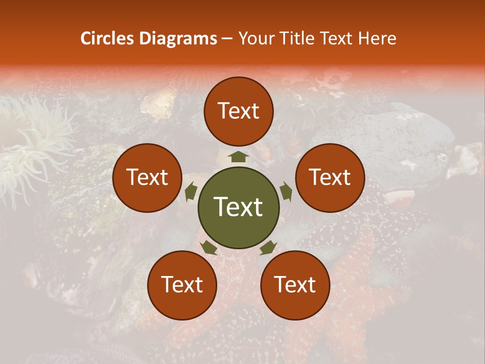 Couple Walking On Beach Arm In Arm Smiling PowerPoint Template