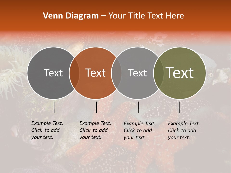 Couple Walking On Beach Arm In Arm Smiling PowerPoint Template