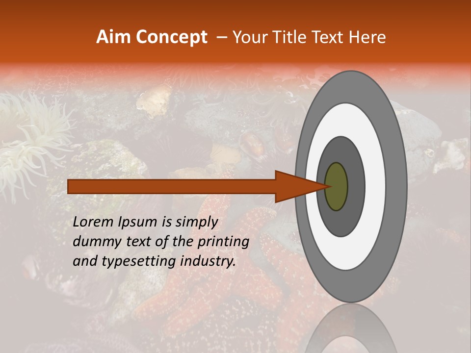 Couple Walking On Beach Arm In Arm Smiling PowerPoint Template