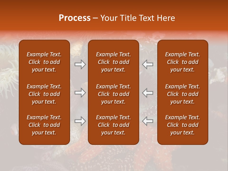 Couple Walking On Beach Arm In Arm Smiling PowerPoint Template