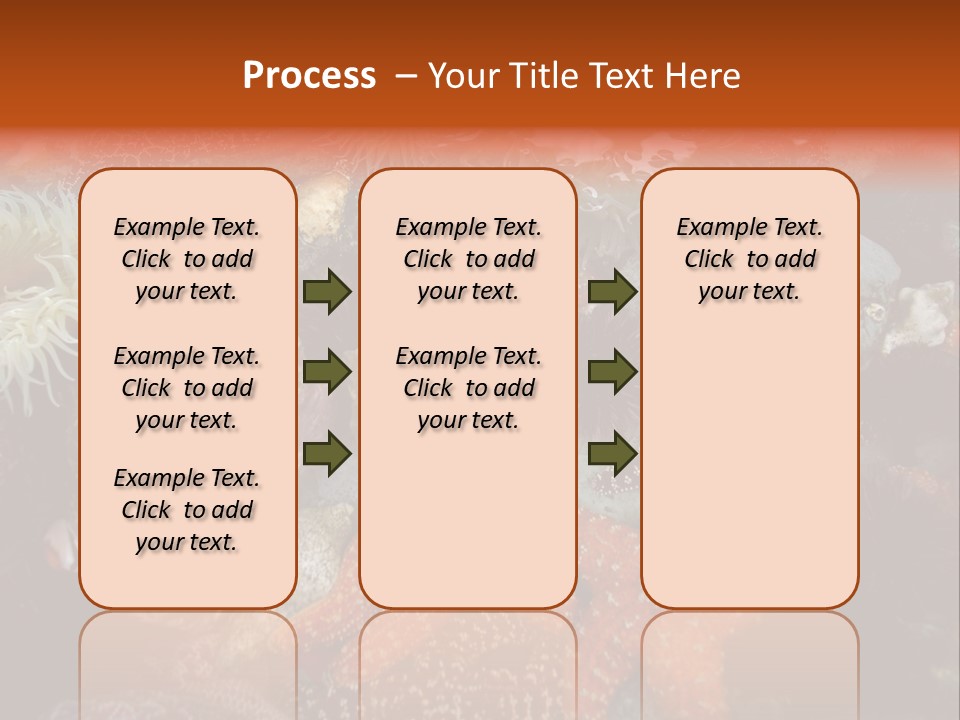 Couple Walking On Beach Arm In Arm Smiling PowerPoint Template