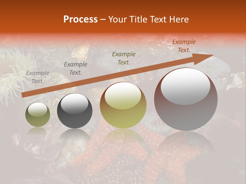 Couple Walking On Beach Arm In Arm Smiling PowerPoint Template