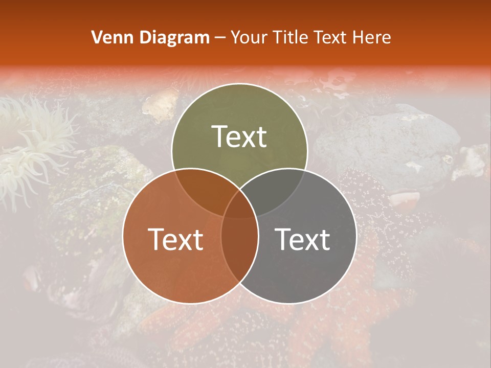 Couple Walking On Beach Arm In Arm Smiling PowerPoint Template