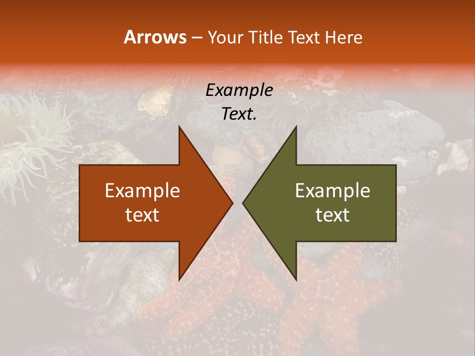 Couple Walking On Beach Arm In Arm Smiling PowerPoint Template