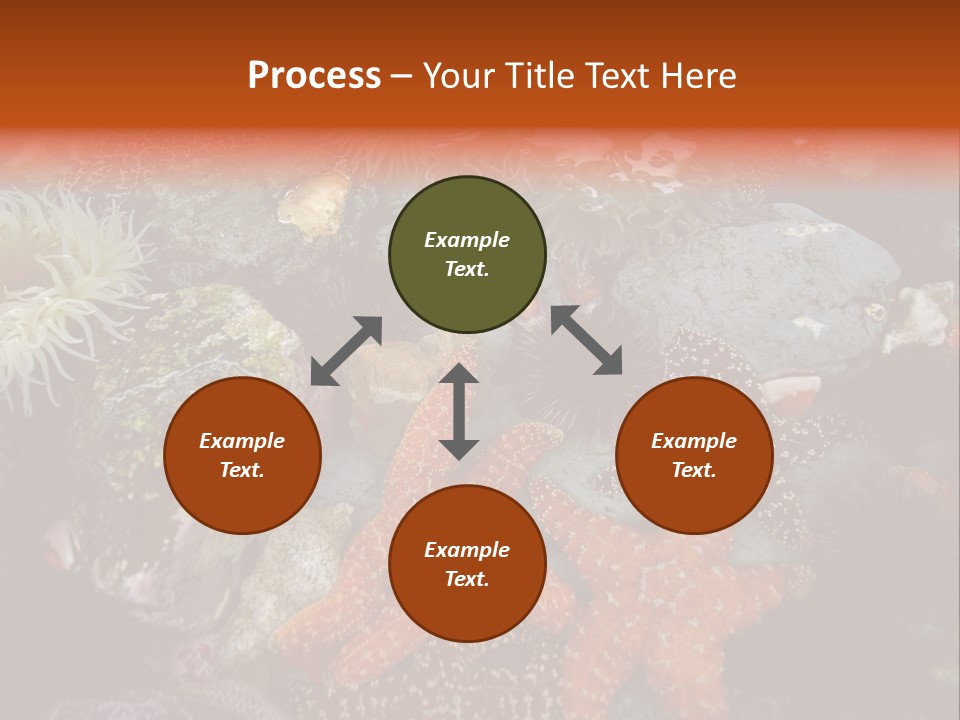 Couple Walking On Beach Arm In Arm Smiling PowerPoint Template