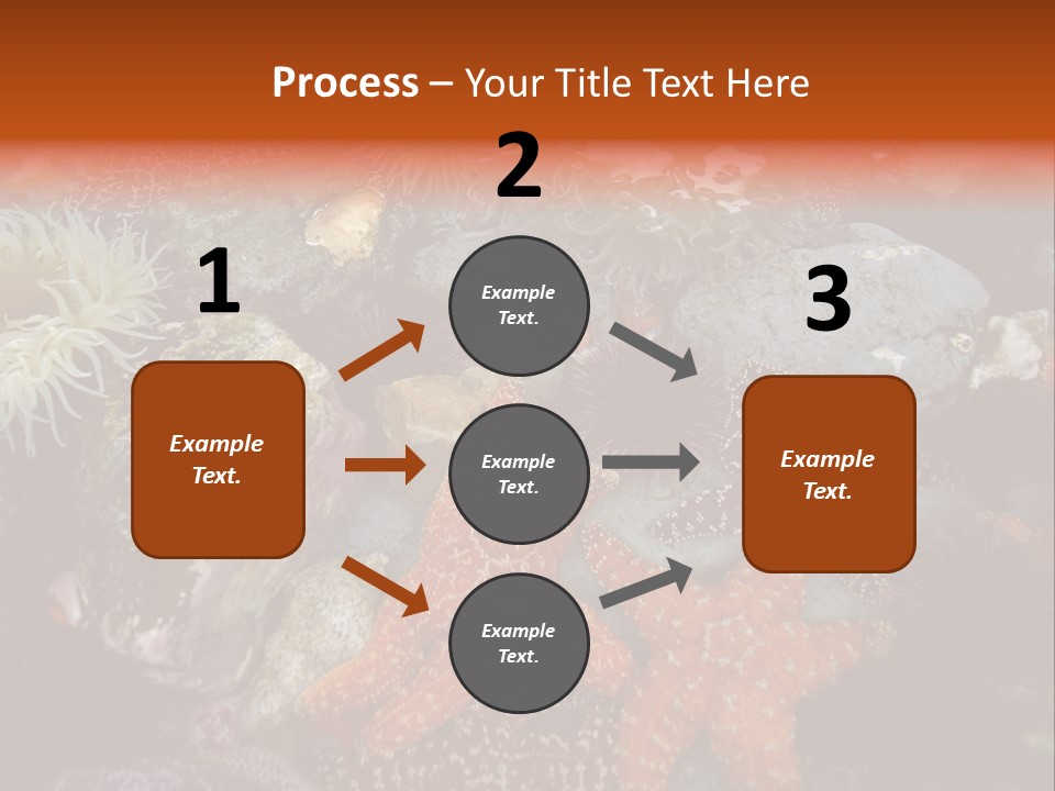 Couple Walking On Beach Arm In Arm Smiling PowerPoint Template