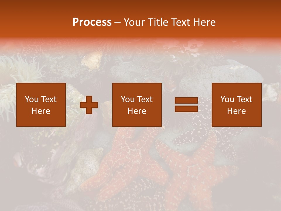 Couple Walking On Beach Arm In Arm Smiling PowerPoint Template