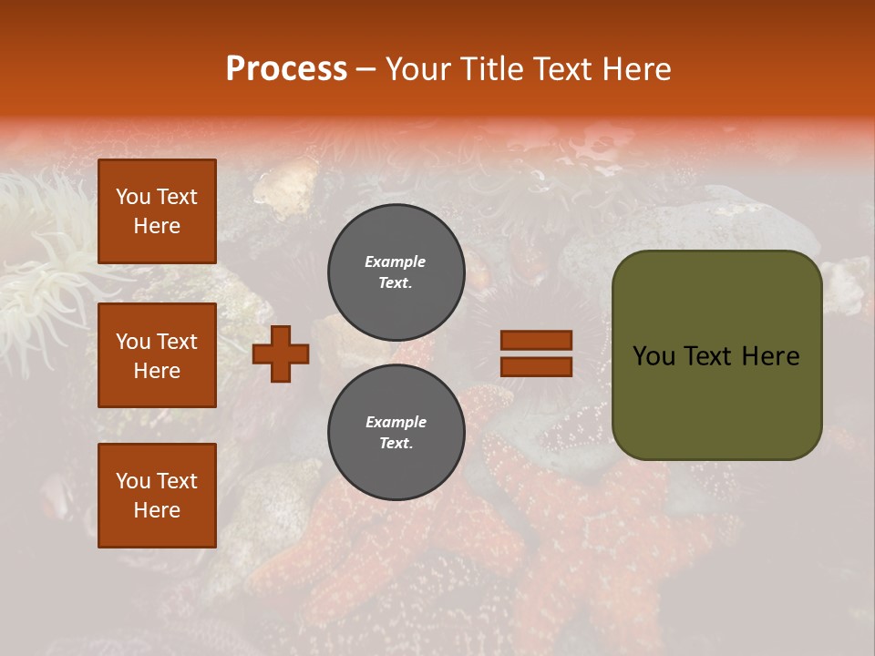 Couple Walking On Beach Arm In Arm Smiling PowerPoint Template