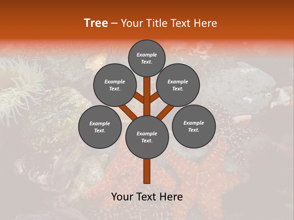 Couple Walking On Beach Arm In Arm Smiling PowerPoint Template