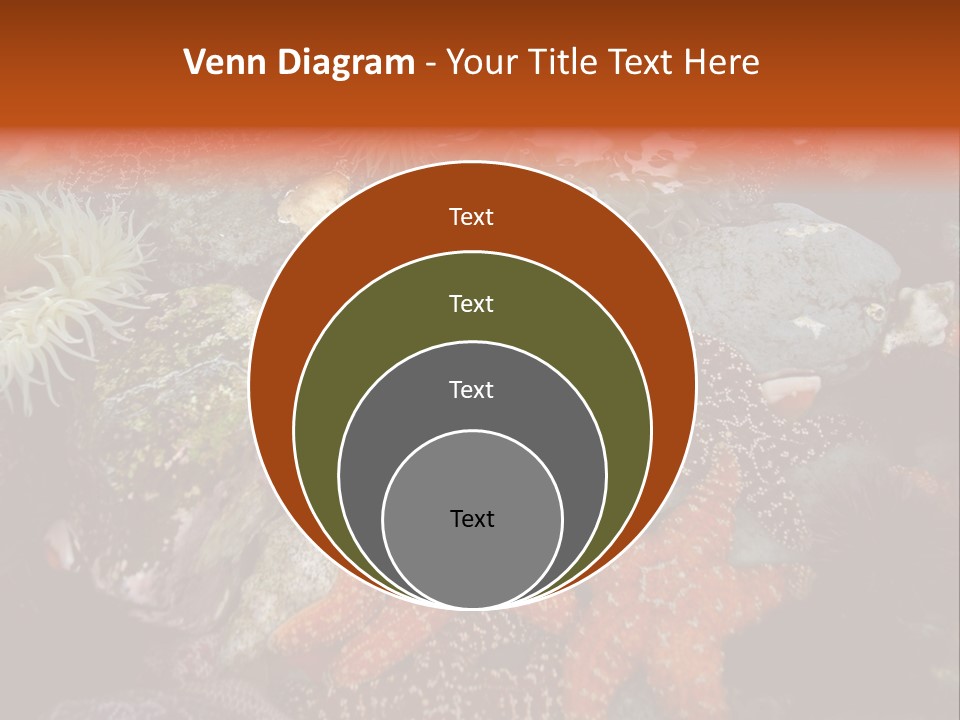 Couple Walking On Beach Arm In Arm Smiling PowerPoint Template