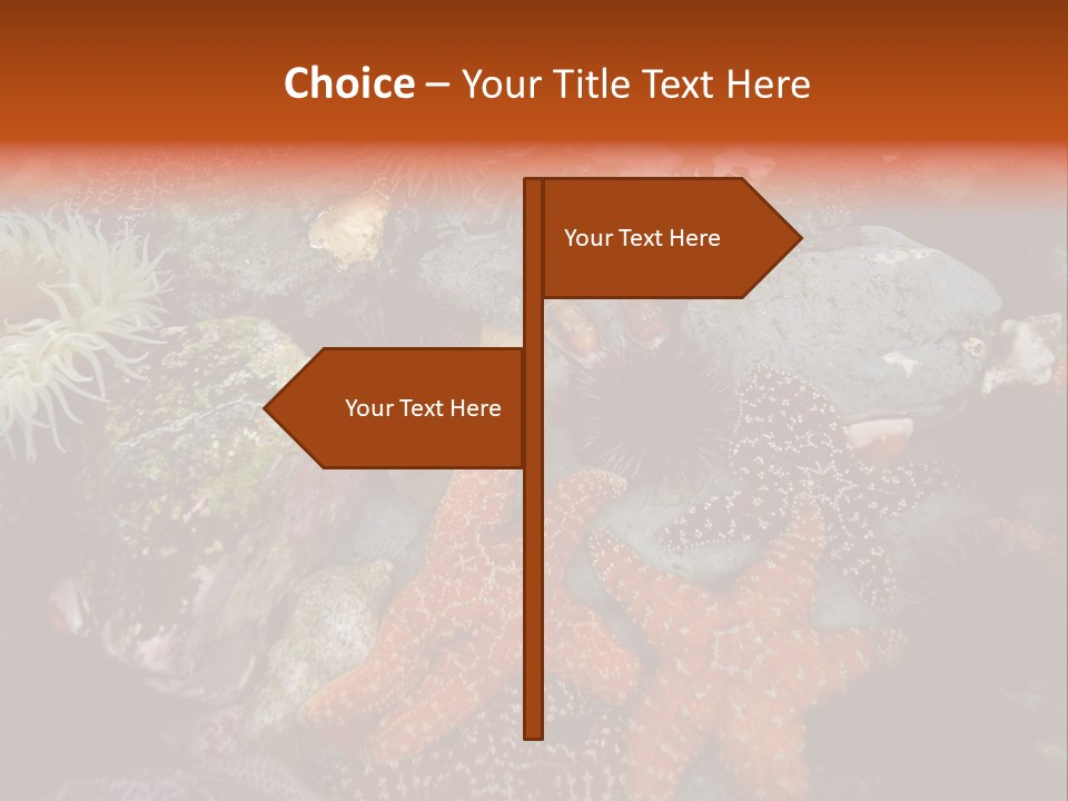 Couple Walking On Beach Arm In Arm Smiling PowerPoint Template