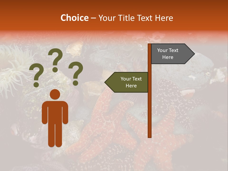 Couple Walking On Beach Arm In Arm Smiling PowerPoint Template