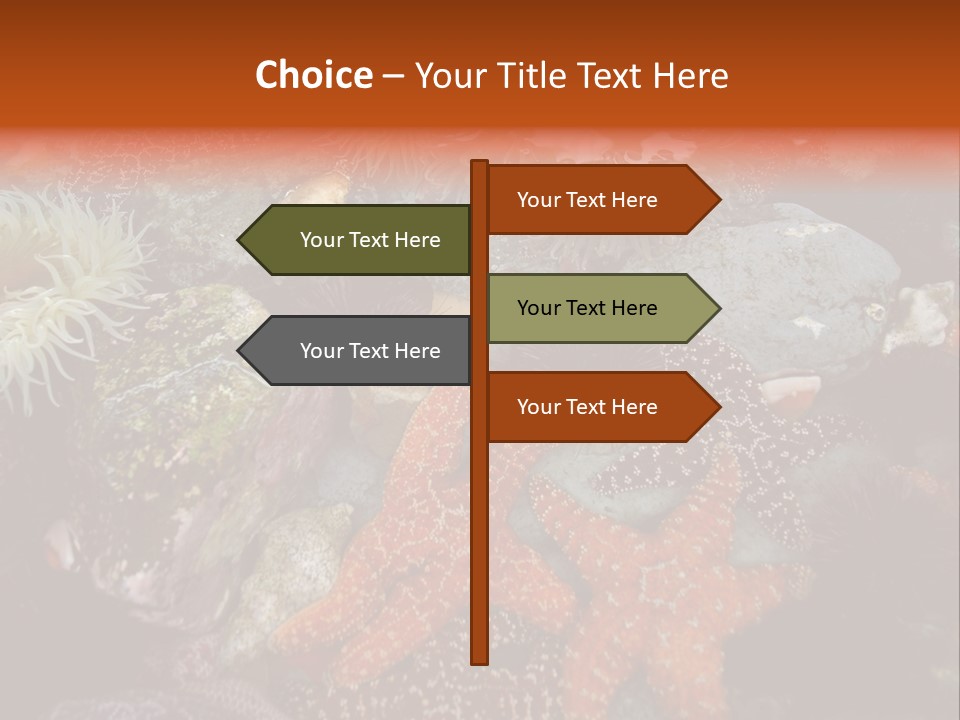 Couple Walking On Beach Arm In Arm Smiling PowerPoint Template