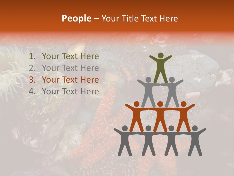 Couple Walking On Beach Arm In Arm Smiling PowerPoint Template