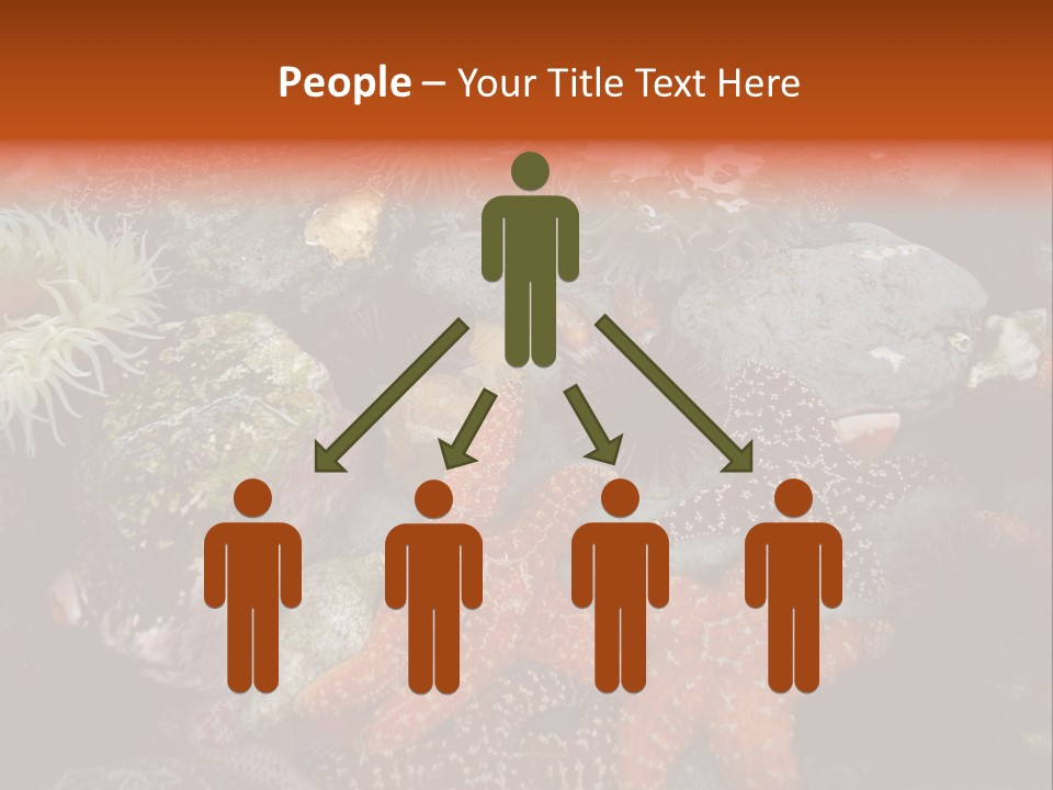 Couple Walking On Beach Arm In Arm Smiling PowerPoint Template