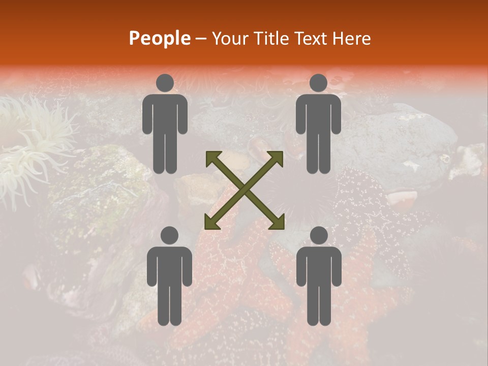 Couple Walking On Beach Arm In Arm Smiling PowerPoint Template