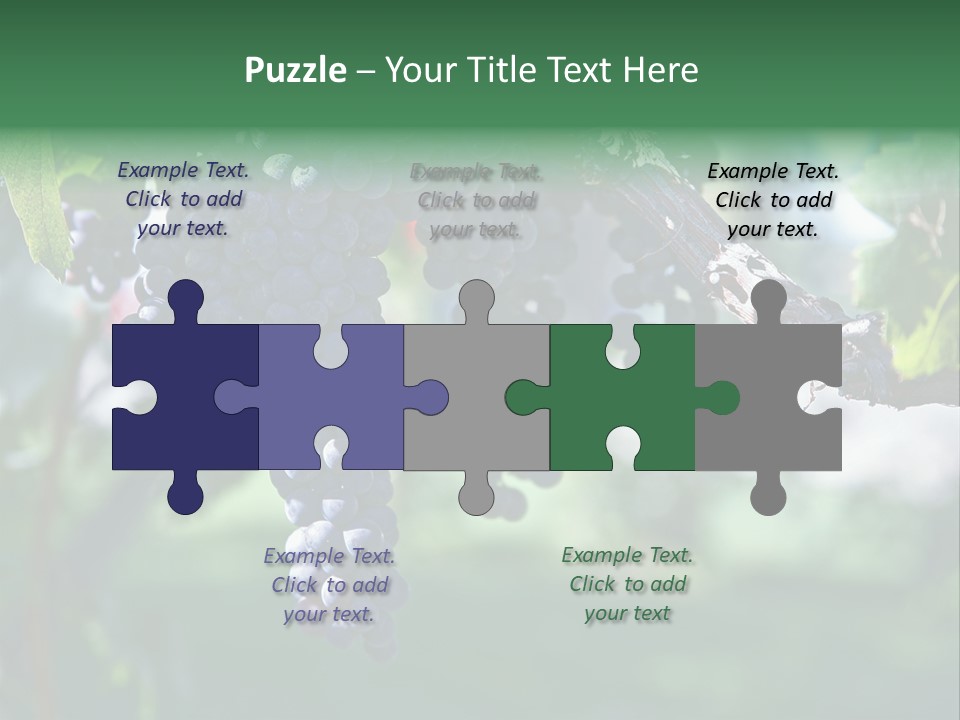 Ripe Merlot Grapes On Vine In Vineyard PowerPoint Template