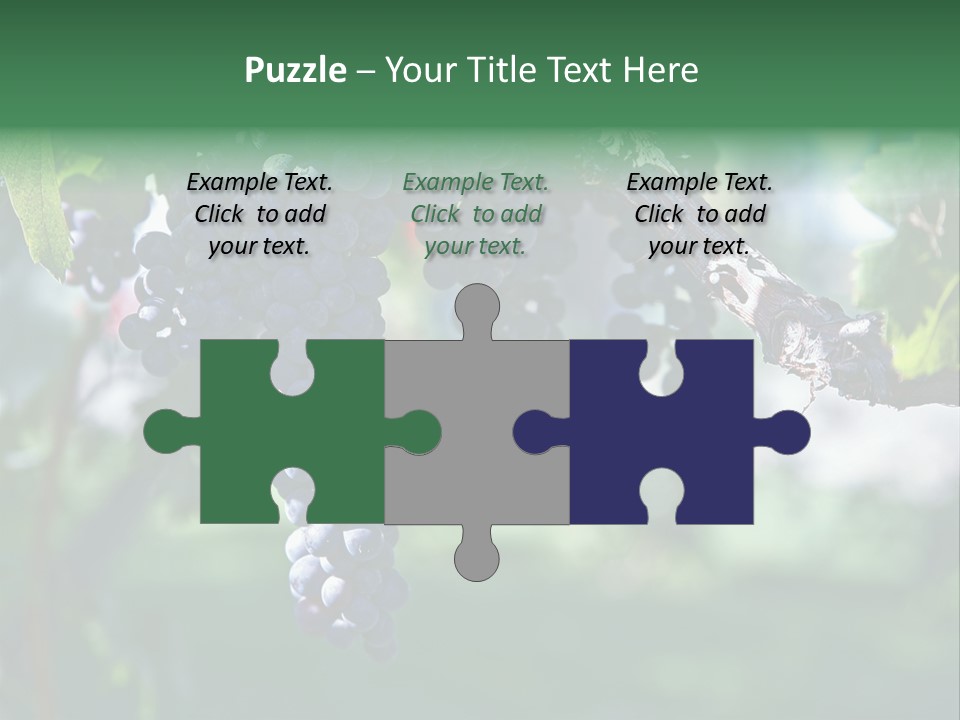 Ripe Merlot Grapes On Vine In Vineyard PowerPoint Template