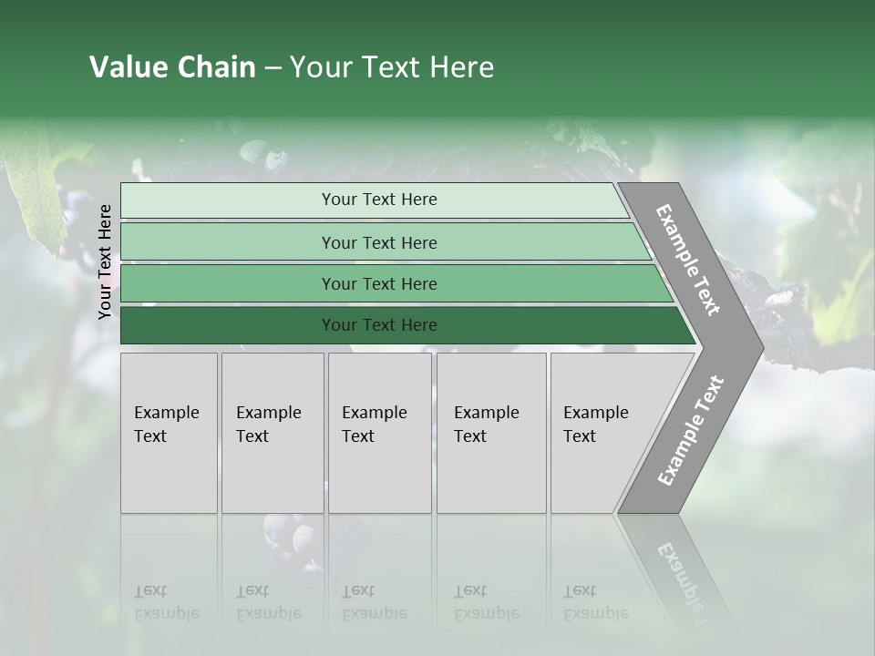 Ripe Merlot Grapes On Vine In Vineyard PowerPoint Template