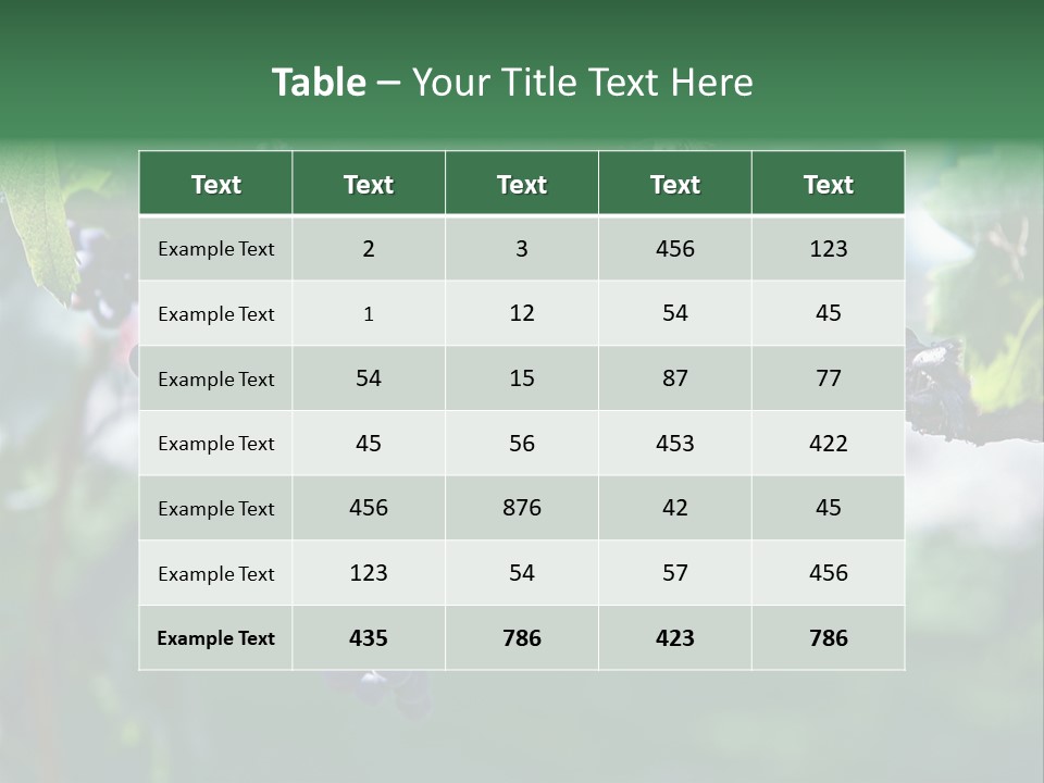 Ripe Merlot Grapes On Vine In Vineyard PowerPoint Template