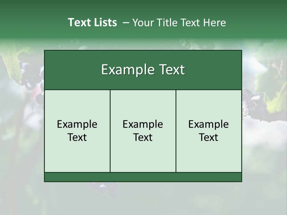 Ripe Merlot Grapes On Vine In Vineyard PowerPoint Template