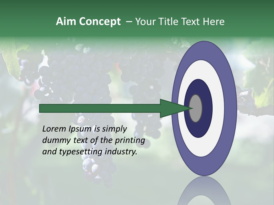 Ripe Merlot Grapes On Vine In Vineyard PowerPoint Template