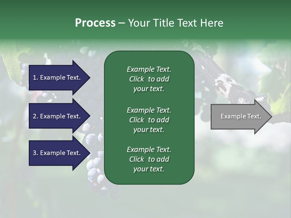 Ripe Merlot Grapes On Vine In Vineyard PowerPoint Template