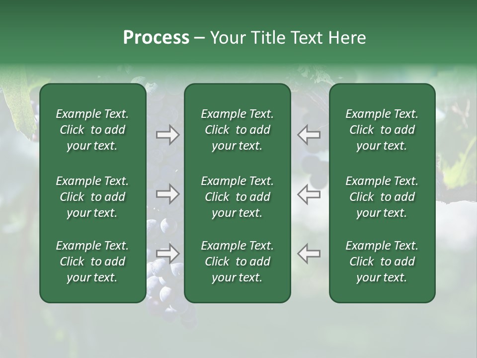 Ripe Merlot Grapes On Vine In Vineyard PowerPoint Template