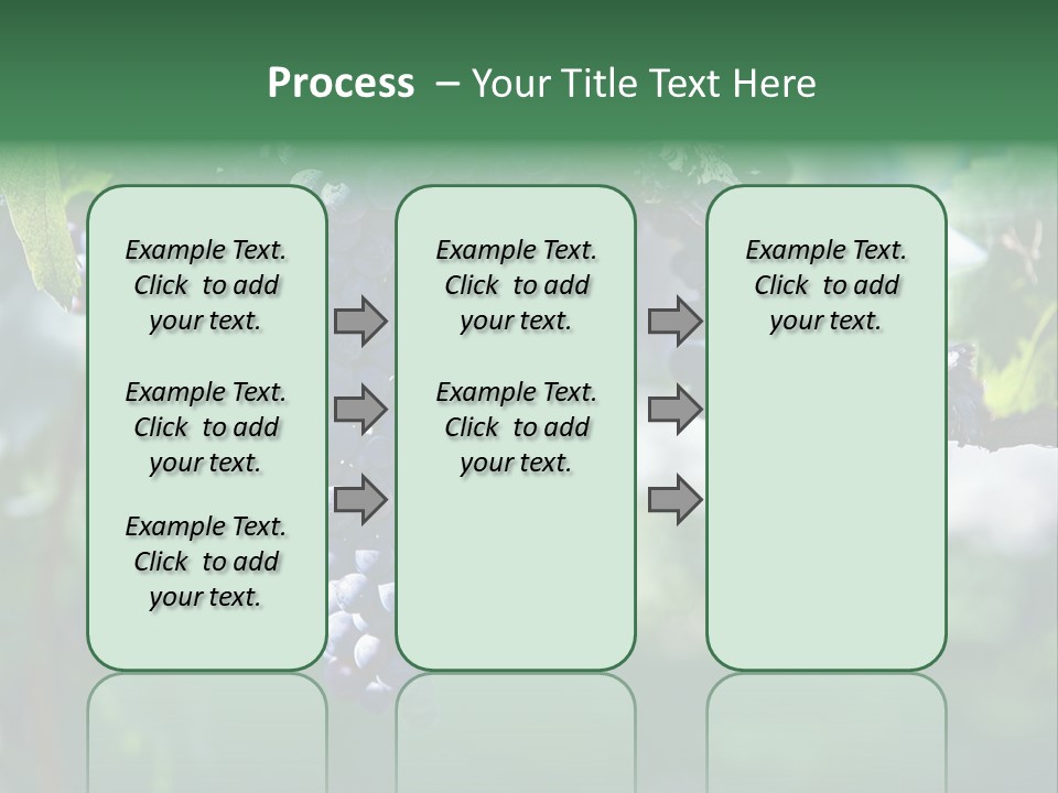 Ripe Merlot Grapes On Vine In Vineyard PowerPoint Template
