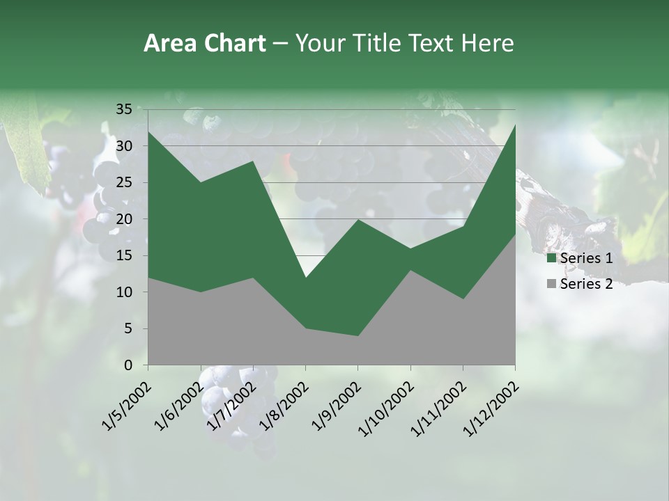 Ripe Merlot Grapes On Vine In Vineyard PowerPoint Template