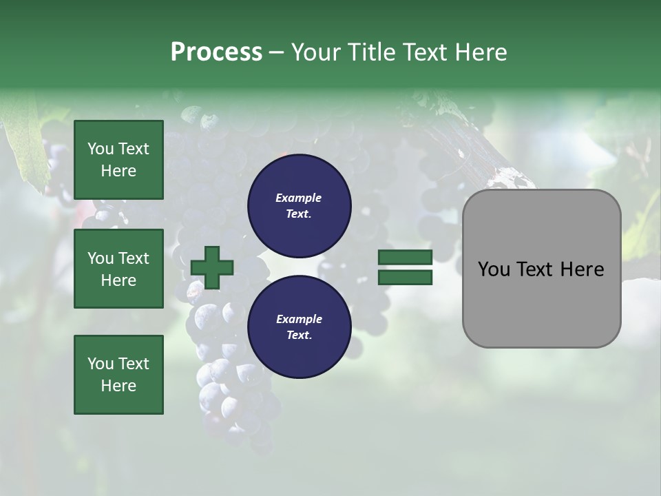 Ripe Merlot Grapes On Vine In Vineyard PowerPoint Template