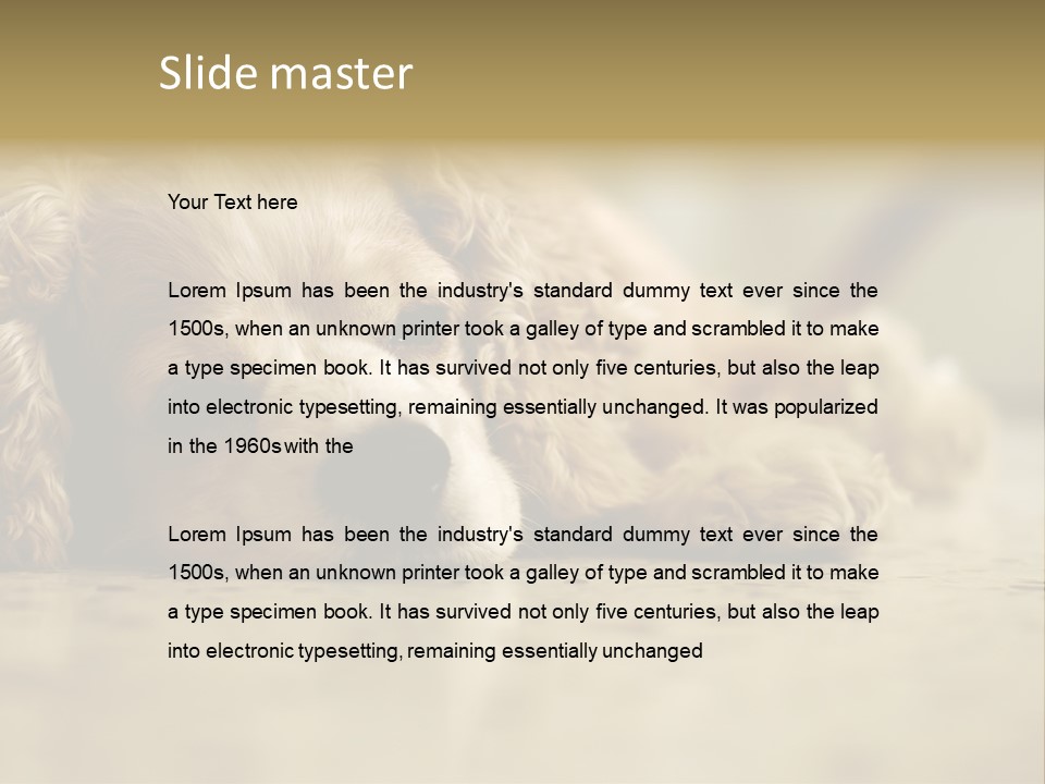 So Sleepy PowerPoint Template