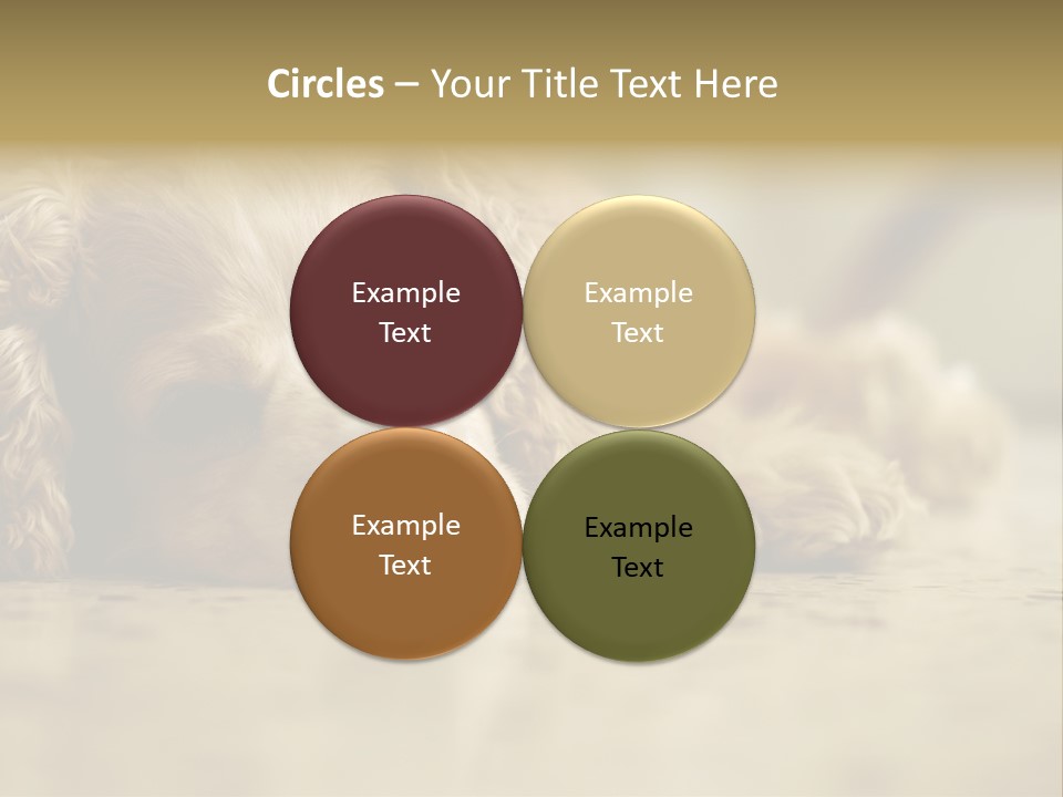 So Sleepy PowerPoint Template