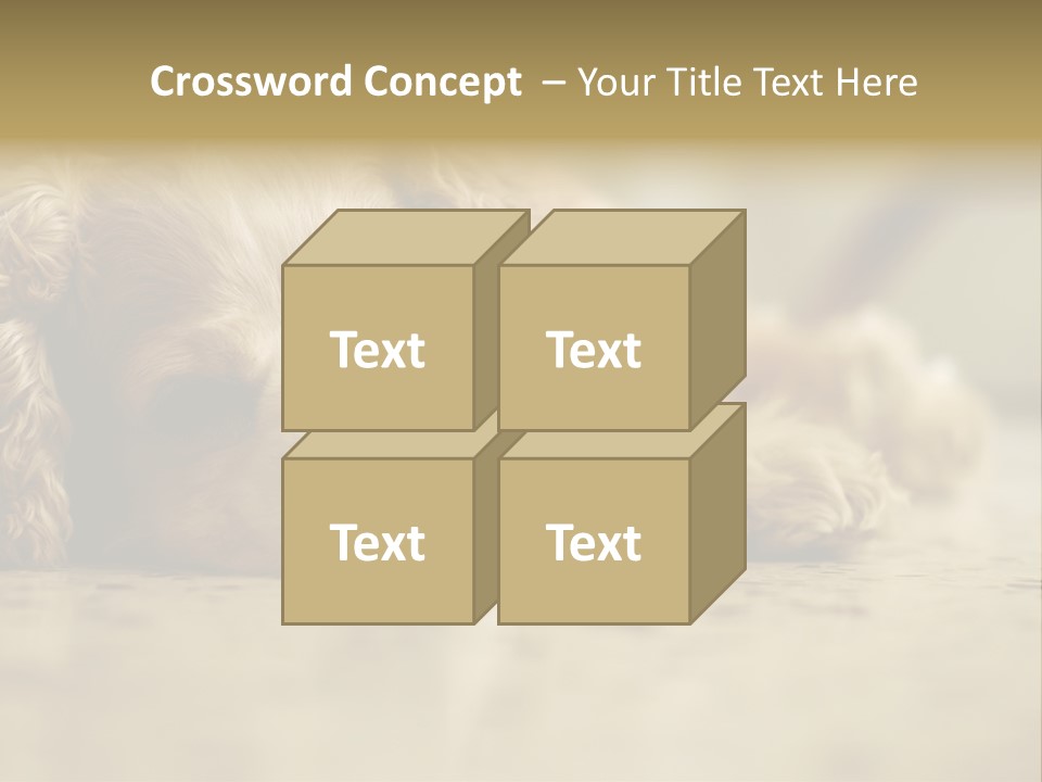 So Sleepy PowerPoint Template