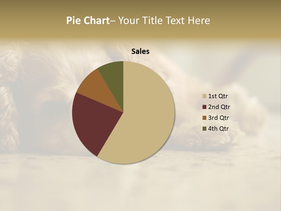 So Sleepy PowerPoint Template