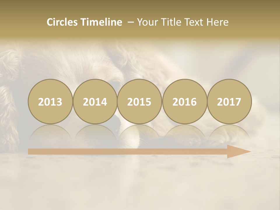 So Sleepy PowerPoint Template