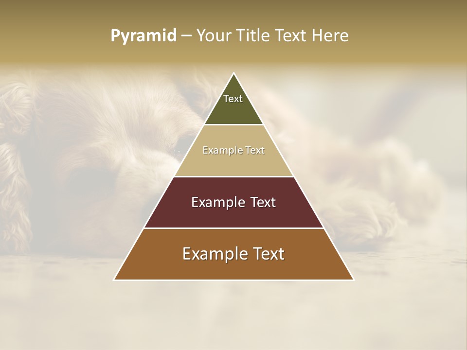 So Sleepy PowerPoint Template