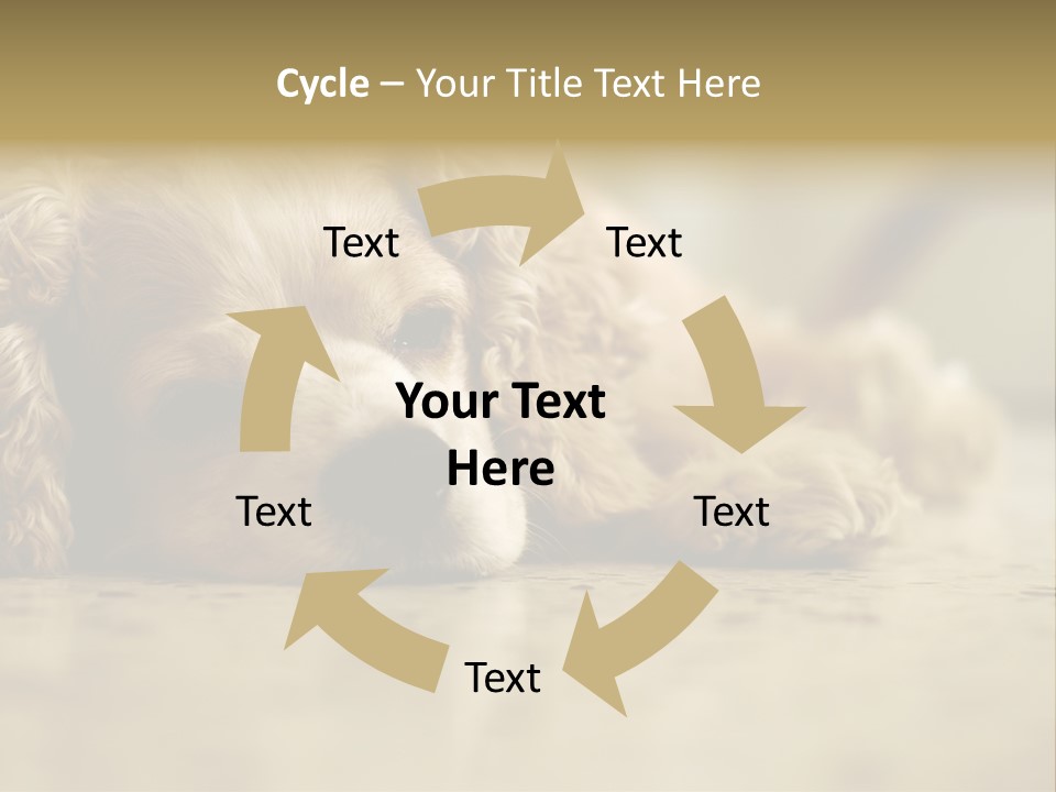 So Sleepy PowerPoint Template